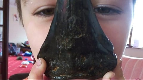 Six-year-old boy Sammy Shelton