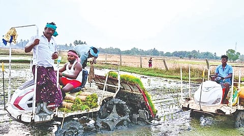 Farmers gearing up for the new Kuruvai season in Thanjavur
