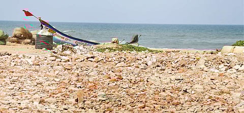 The turtle nesting area is only 500 metres away from the place where debris was dumped on Neelankarai beach