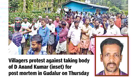 Teashop owner trampled to death by jumbo in Gudalur