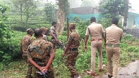 Forest Department staff removing the solar fence around a tea estate in The Nilgiris on Sunday