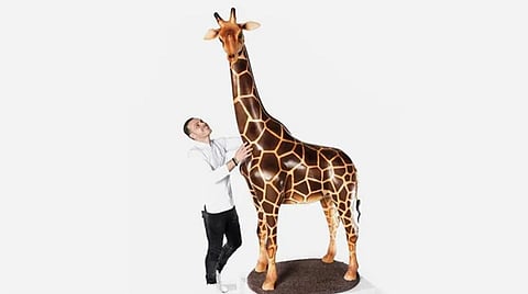 Amaury Guichon with 8-feet chocolate giraffe