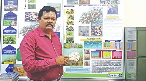Sathya Narayana, Marine Biological Research Centre, ZSI