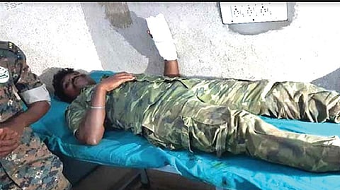 Anti-poaching watcher injured in sloth bear attack in The Nilgiris