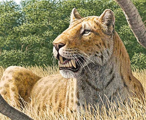 Representative Image