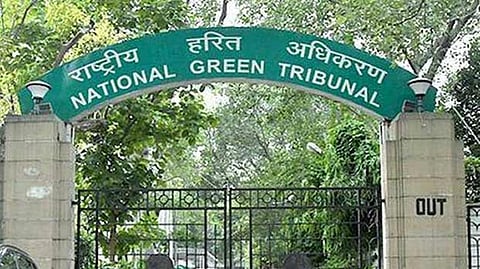 NGT directs SR to ensure safety of elephants amid spike in deaths