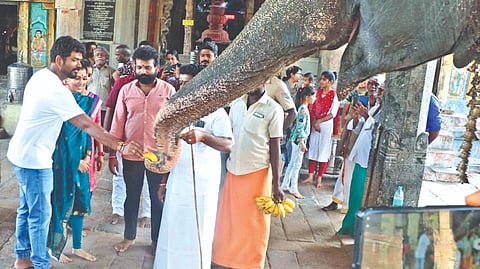 Nayanthara-Vignesh Shivan at the ancestral temple in Thanjavur