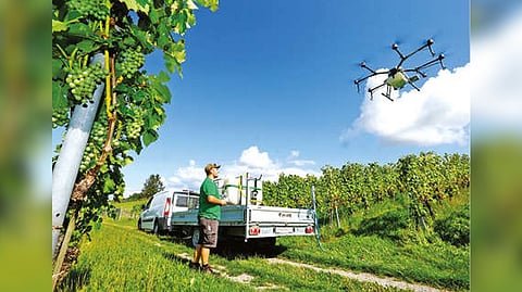 Representative image