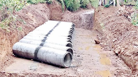 Representative image