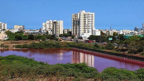 Lake near Pallikaranai marshland