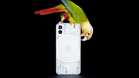 Representative image