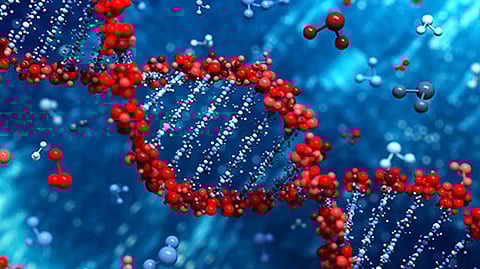 Representative image