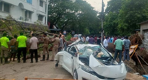 A tree uprooted and fell on the car in in KK Nagar