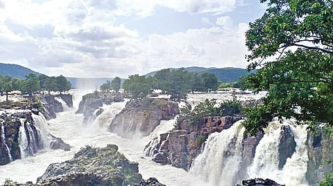 The flooded Hogenakkal falls in Dharmapuri on Tuesday