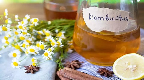 Easy-to-make Kombucha tea recipe at home