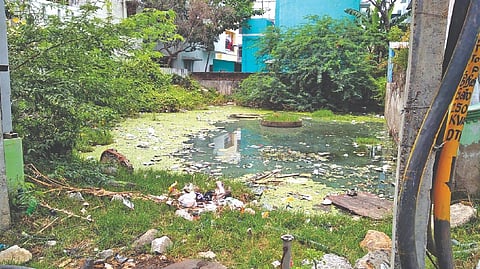 Thoraipakkam cries for sewage connection