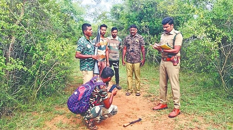 3 slapped Rs 70,000 fine for taking tourists into forest at night