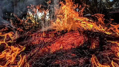 Representative image