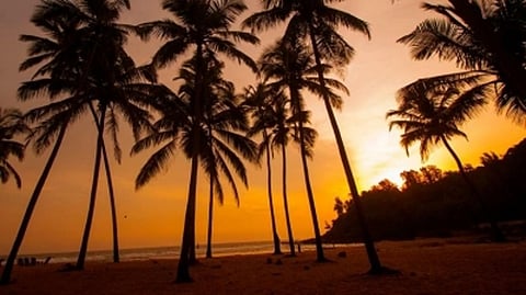 A new destination in South Goa's Varca beach