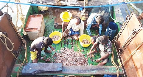 Fishers with poor catch on first day after the end of ban in Thanjavur on Thursday