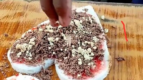 Screengrab from the Video