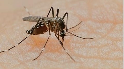 Representative image