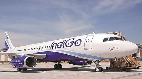 Indigo: Govt must consider raising upper limit on domestic airfares