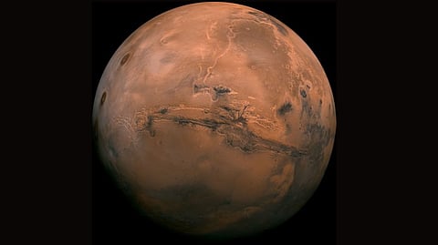 Representative image