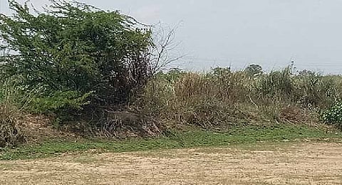 Representative Image