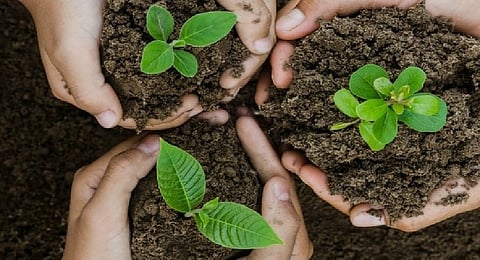 Representative Image