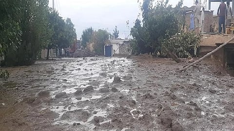 Representative image