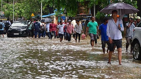 Heavy rains in Palghar; 'red alert' for next 2 days
