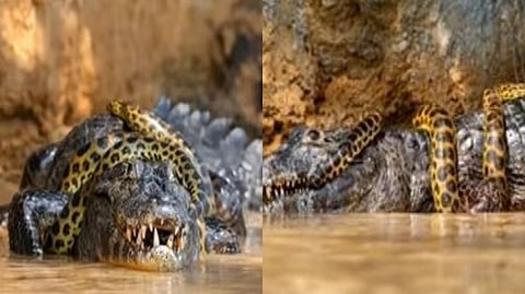 Screengrab from the video