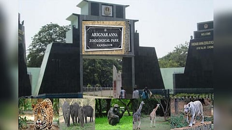 Vandalur Zoo