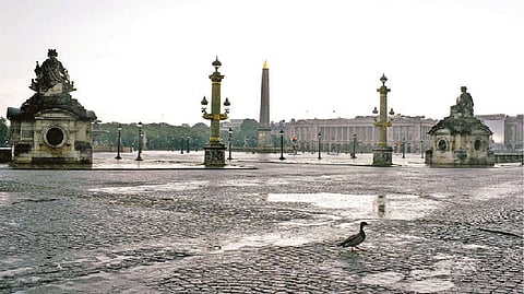 Did nature heal during pandemic ‘anthropause’?