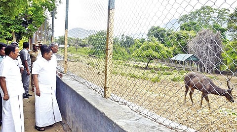 Minister K Ramachandran inspecting Kurumbapatti Zoological Park in Salem on Monday