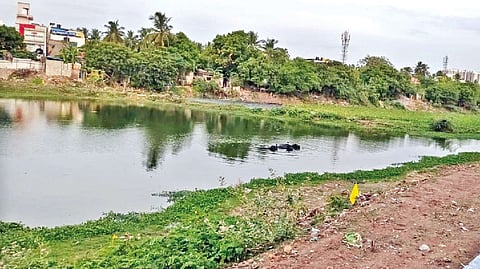 Adambakkam lake