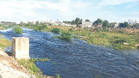 River Noyyal in Tirupur polluted due to sewage and effluents