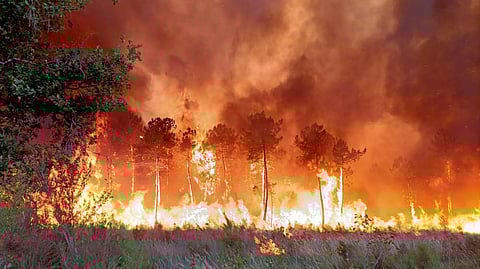 This photo provided Friday July 15, 2022 by the fire brigade of the Gironde region (SDIS 33) shows a wildfire near Landiras, southwestern France.