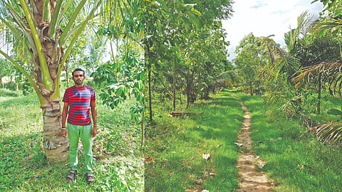 Mansa Organic Meadows in Damal village ; (inset) Bharath M