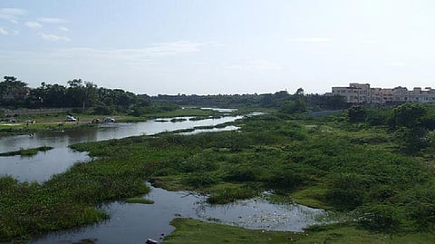 File photo of Adyar river