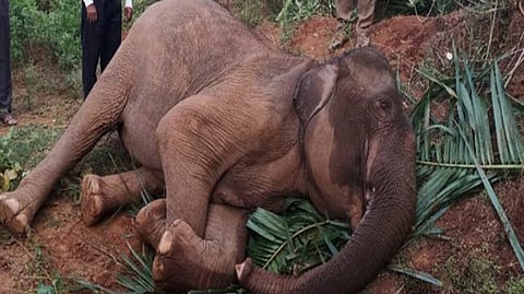 Representative image