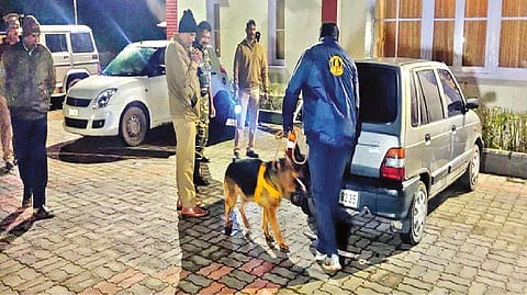 A sniffer dog looking out for bombs in The Nilgiris late on Tuesday