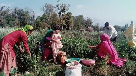 Dharmapuri farmers get online tips on improving skill sets