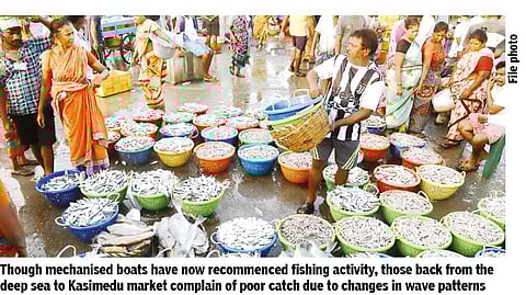 Fishers rue weather change as boats return with poor catch