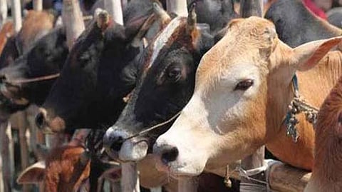 Representative image