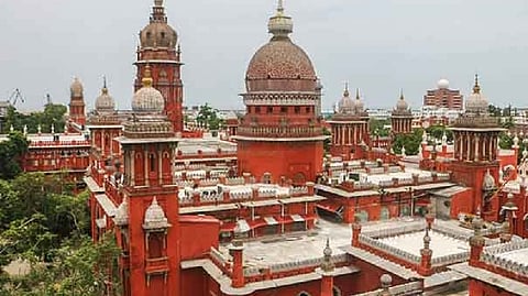 HC allows transfer of 1,000 crocodiles to Gujarat zoo