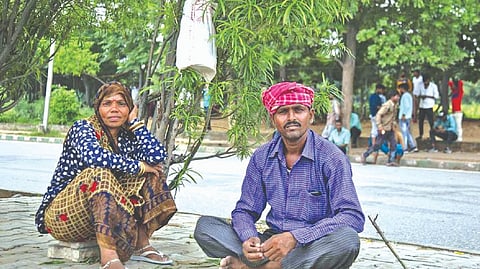 Employment crunch: Seeking way ahead in job-scarce economy