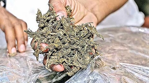 Representative image