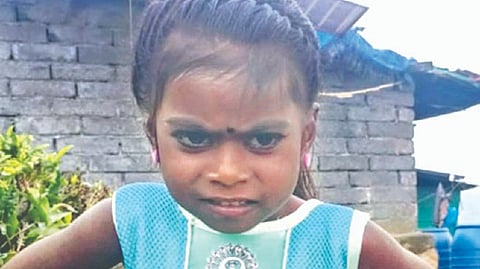 4-yr-old killed in suspected leopard attack in Nilgiris